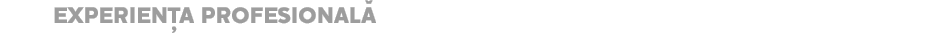 EXPERIEN�A PROFESIONAL�